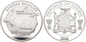Zambia, Republic, 5000 Kwacha Silver Plated 2016, Wildlife - Hippopotamus, KM New, PROOF