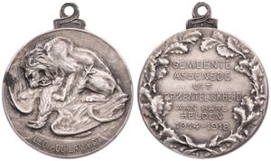 Belgium, Kingdom, Albert I, Medal in Copper-Nickel 1914-1918 by P. Theunis, Gemeente Assenede uit erkentelijkheid aan hare helden, Belgian Lion defeats German Eagle / Legend in 7 lines, XF