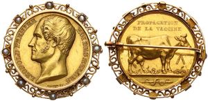 Belgium, Kingdom, Brooch with Gold medal ND (1832) by Braemt, Spread of cowpox, Obv.: Head of Leopold I left. Rev.: Dairy cow right, a lancet and the Rod of Aesculapius, VERY RARE, XF (*)